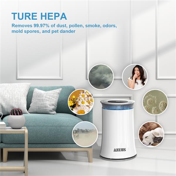 High CADR Air Purifier