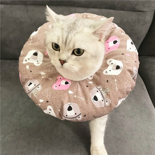 Adjustable Recovery Cones for Pets